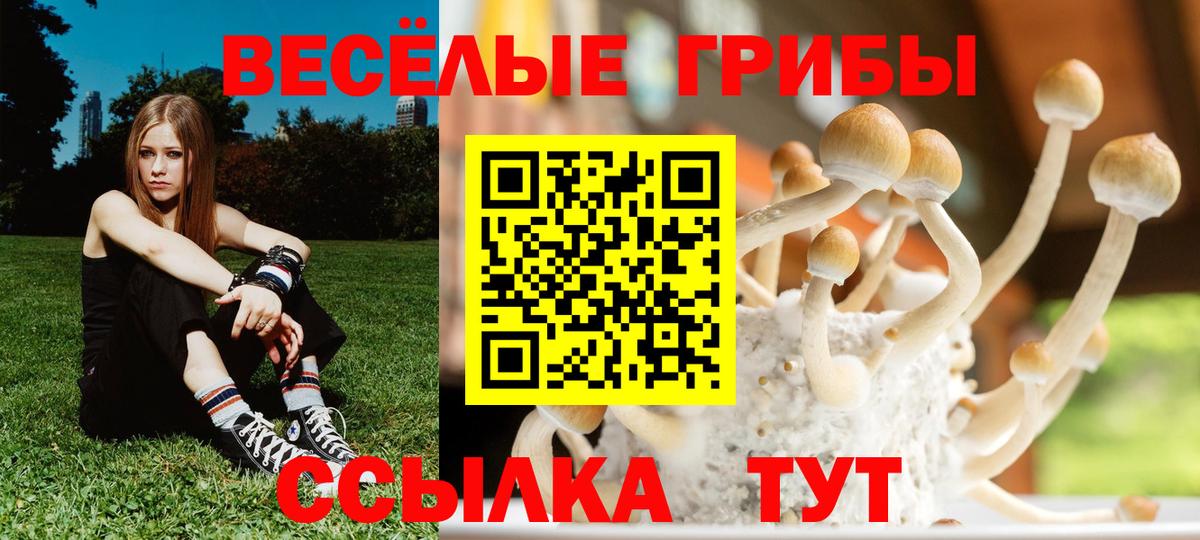 Псилоцибиновые грибы GOLDEN TEACHER Павлово
